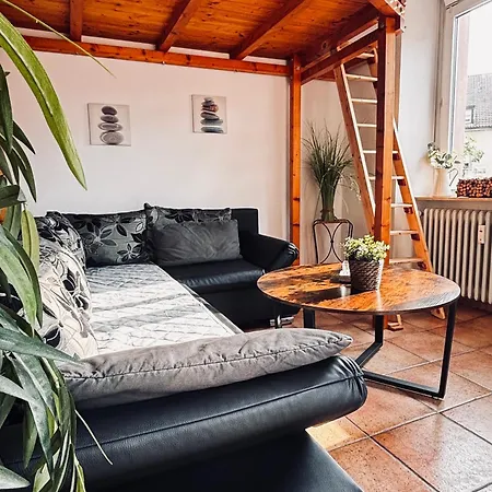 Molea * Freiburg im Breisgau
