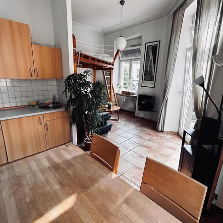 Apartment Molea *